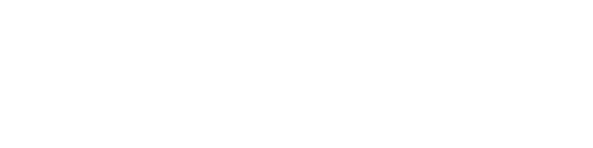拥有相关专利技术50多项（80%为发明专利）