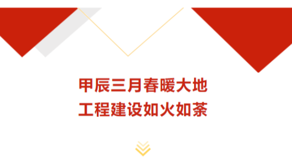 甲辰三月春暖大地 蓝必盛工程建设如火如荼