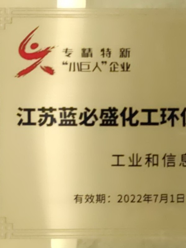 国家级专精特新小巨人