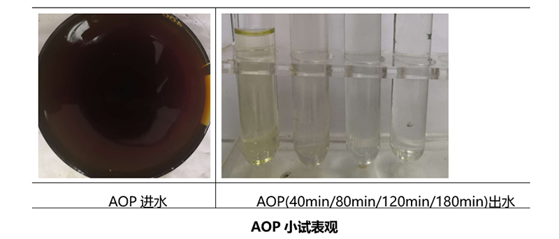 AOP小试表现