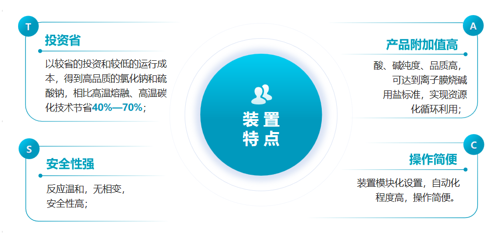 蓝必盛废盐资源化成套装置