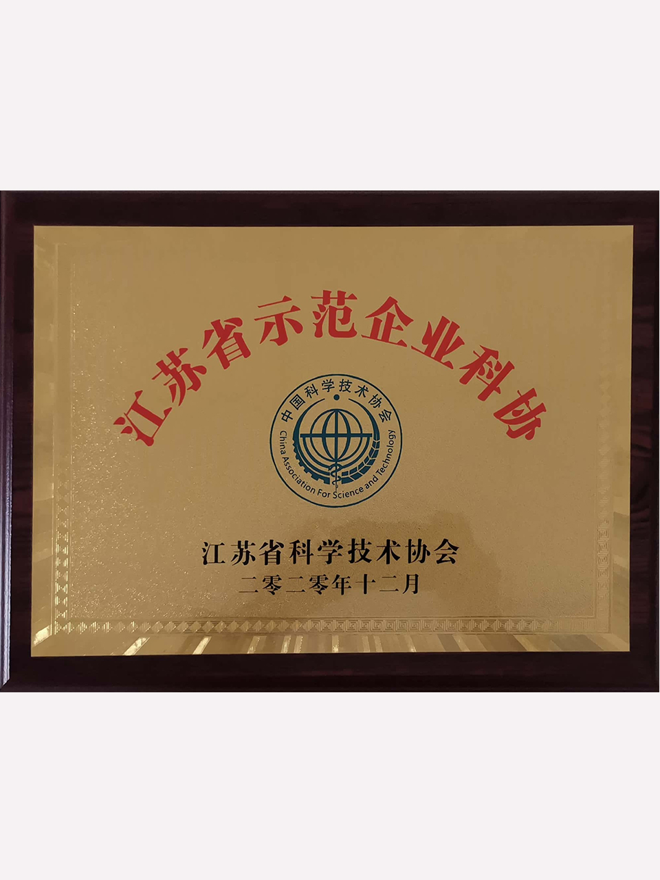 江苏省示范企业科协